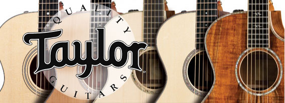 Taylor-Guitars